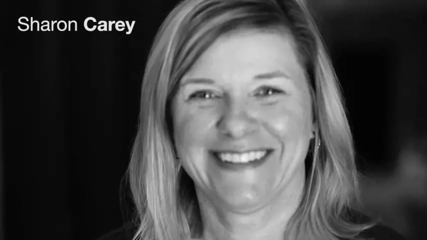 Painted Vinyl Window Review Thumbnail Image