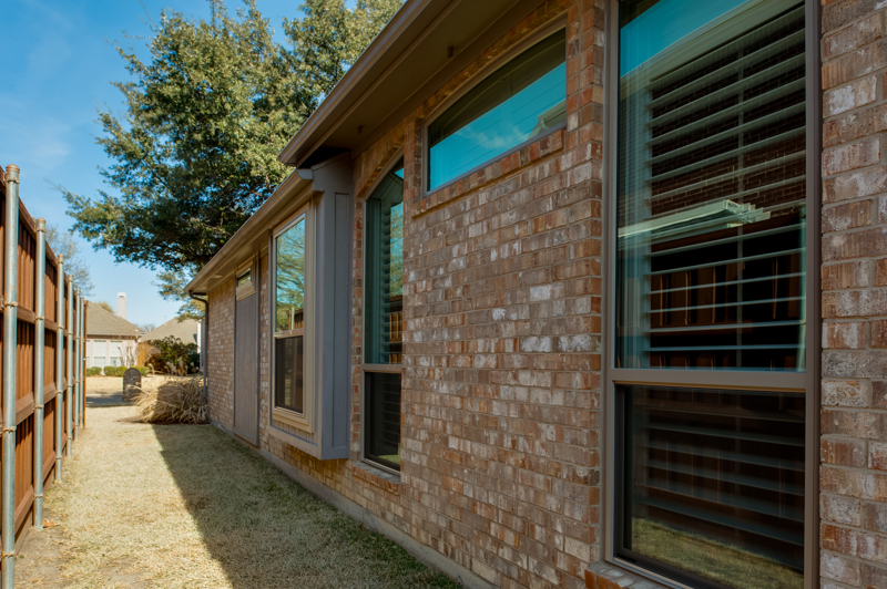 brennan-traditions-single-hund-side-view-window