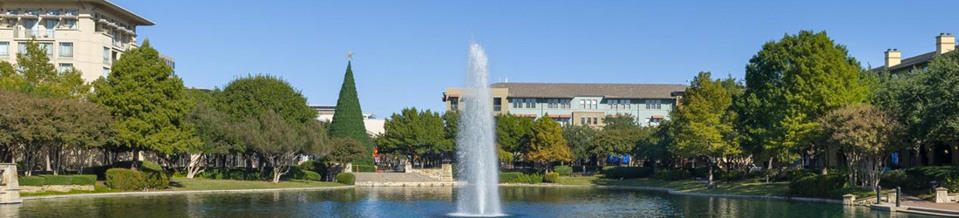 Best Door Replacement Companies in Plano.