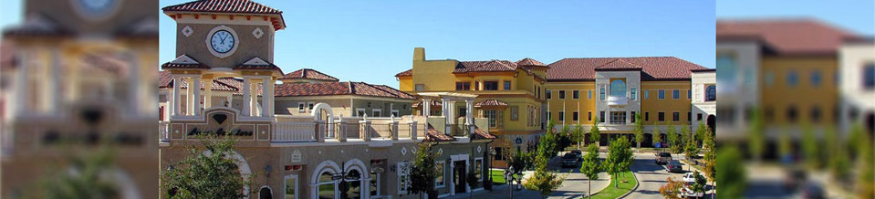 Who are the best window replacement companies near Colleyville.