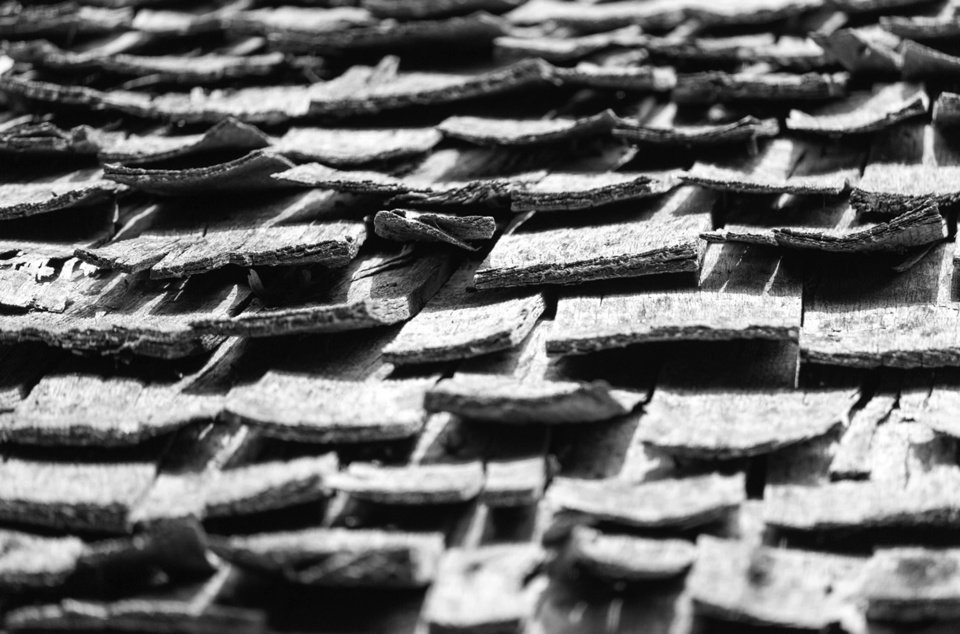 Curling wood shakes on a roof.