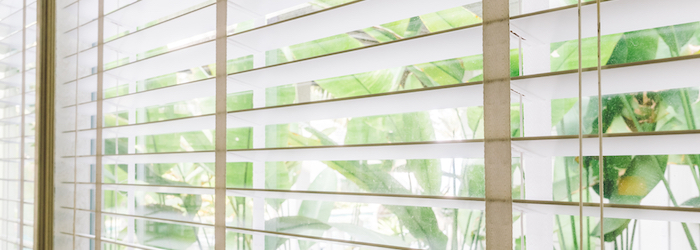 Closeup photo of venetian style blinds on window